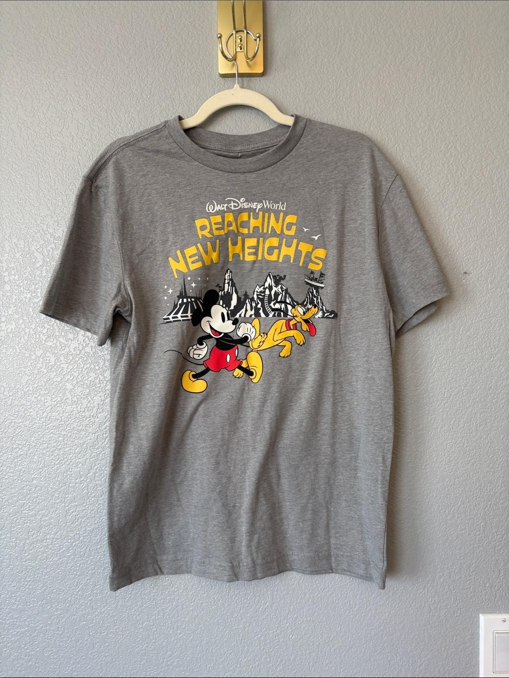 Disney Gray Mickey & Pluto 'Reaching New Heights' Graphic Tee